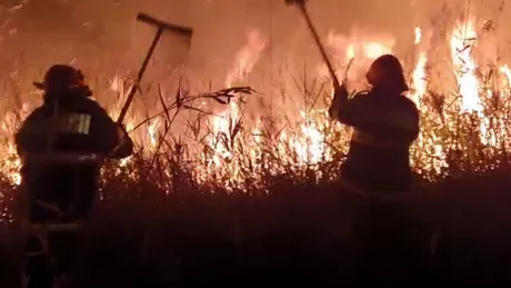 Incendiu amplu în Rezervaţia Deltei Dunării. Au ars circa 400 de hectare de vegetaţie - VIDEO