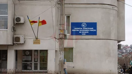 Patronii din Iași sunt disperați că nu găsesc muncitori necalificați zidari tâmplari sau secretare. Patron Toți m-au întrebat salariul și programul dar niciunul nu vine să lucreze