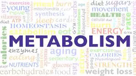 Cum să accelerați metabolismul organismului