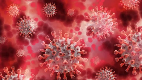 Ajutorii umani ai SARS-CoV-2 variația naturală afectează proteinele relevante pentru virus