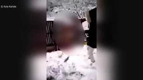 Un bărbat şi-a obligat fiul să ucidă cu bestialitate o vulpe. Imaginile i-a șocat până și pe poliţişti - VIDEO