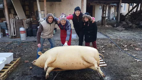 Cum se decupează slănina de pe porc. Acest meșteșug a fost ridicat la rang de artă