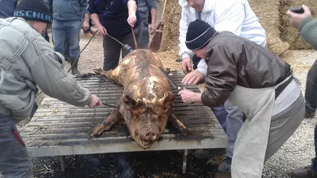 Când este bine să tai porcul Tradiţii şi obiceiuri în Moldova