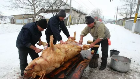 Obiceiuri și tradiții la tăierea porcului - Ce se face de Sf. Ignat pe 20 decembrie
