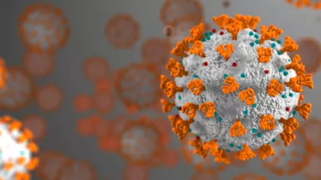 Cum evită SARS-CoV-2 apărarea noastră imună