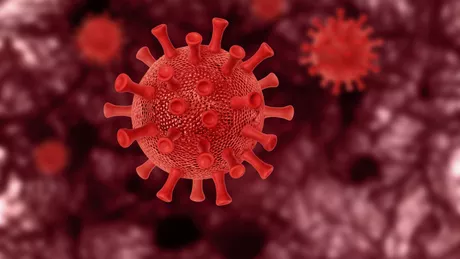 Varianta de coronavirus din Africa de Sud. Cât de eficiente sunt vaccinurile împotriva ei