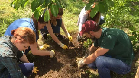 Șansă unică pentru studenții de la USAMV Iași Aceștia vor putea face practică în agricultură cu utilaje moderne