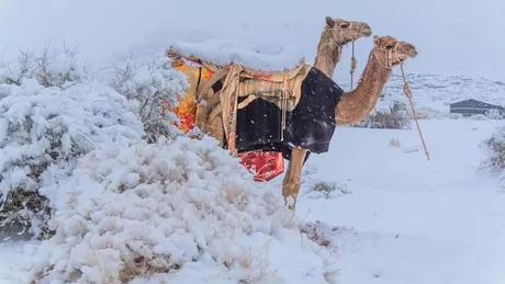 A nins în deșertul Sahara Cel mai fierbinte loc al planetei acoperit de zăpadă - FOTO VIDEO