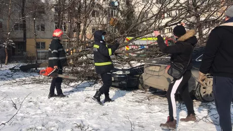 Vremea rea face ravagii în Iași Un copac a căzut peste o maşină - FOTO VIDEO