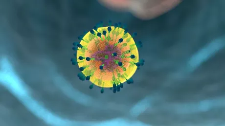 Anticorpii împotriva coronavirusurilor obișnuite nu protejează împotriva SARS-CoV-2