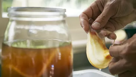 Kombucha ingrasa In nici un caz Iata ce beneficii miraculoase are