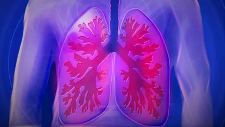 Care sunt simptomele tuberculozei