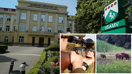 Spectaculos Universitatea de Agronomie din Iași gestionează un uriaș fond de vânătoare de 18.450 de hectare în localitatea Frasin județul Suceava. Aici studenții desfășoară activitățile practice de maxim impact