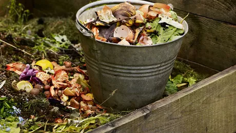 Tipuri de compost. Ce facem cu resturile vegetale