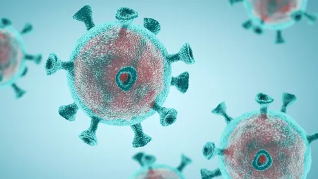 Bilanț coronavirus 28 august 1.015 de cazuri noi de persoane infectate cu SARS  CoV  2 în ultimele 24 de ore