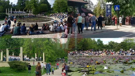 Grădina Botanică din Iași este una dintre cele mai frumoase atracții turistice din județ Sute de vizitatori stau zi de zi la casa de bilete pentru a intra aici. Care sunt atracțiile verii din acest loc - GALERIE FOTO