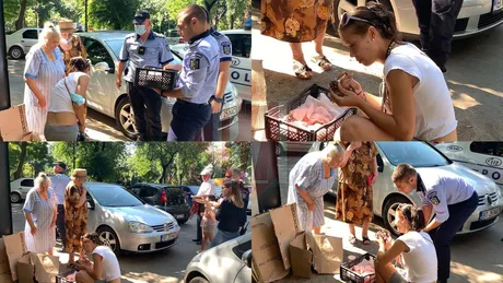 Imagini cu un puternic impact emoțional Un criminal a pus la gunoi în Piața Unirii din Iași într-un recipient cu prune stricate patru pui de pisică abia născuți. Unul dintre suflete s-a asfixiat iar celelalte au fost salvate în ultima clipă de un trecător