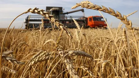 Fermierii din Iași au făcut profituri uriașe în acest an. Au recoltat peste 200.000 de tone de grâu rapiță și orz. Ioan Buimac Nu îmi amintesc să mai fi avut un an atât de bun