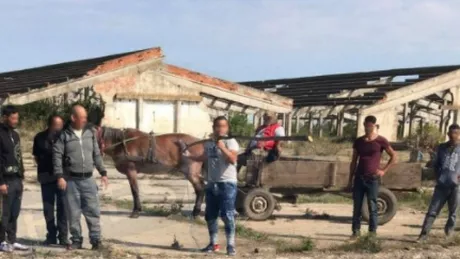 O fată de 15 ani a murit după ce a sărit să-şi salveze fratele căzut într-un canal de colectare a apelor din Satu Mare