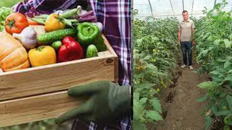 Secretele unor tineri fermieri din Iași care reușesc să livreze legume în supermarketuri și rețelele de magazine locale. Profitul este garantat