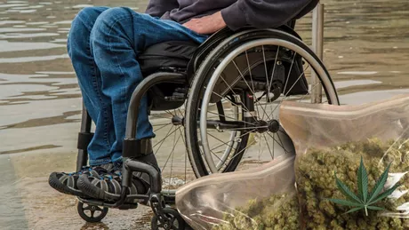 Un tânăr țintuit într-un scaun cu rotile condamnat pentru trafic de droguri Cum a reușit ieșeanul să aducă marijuana în România