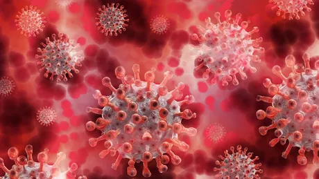 Bilanț coronavirus 31 octombrie 7.424 de cazuri noi de persoane infectate în ultimele 24 de ore în România