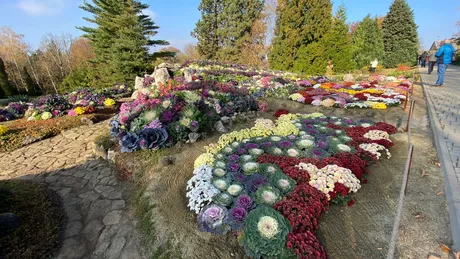 Imagini de o splendoare și naturalețe rară la Iași A fost deschisă expoziția Flori de Toamnă în Grădina Botanică Anastasie Fătu- FOTO LIVE