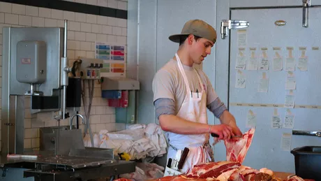 Ieșenii se pot angaja ca măcelari în Germania O companie din domeniul cărnii angajează 250 de tăietori de carne și lucrători în producție plătiți cu minimum 10 euro pe oră în funcție de experiență