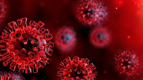 Bilanț coronavirus 21 noiembrie 1.936 de cazuri noi de persoane infectate în ultimele 24 de ore în România
