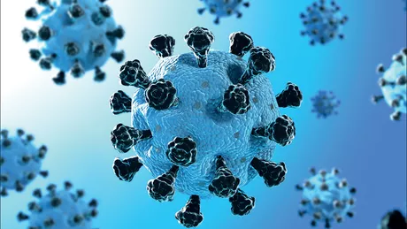 Bilanț coronavirus 28 noiembrie 1.377 de cazuri noi de persoane infectate în ultimele 24 de ore în România