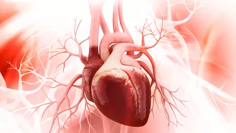 Gaura în inimă cea mai frecventă malformație cardiacă. Cum poate fi tratată