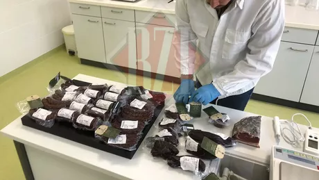 Senzațional Cu ce va putea fi înlocuită carnea de porc Specialiștii de la Universitatea de Științele Vieții din Iași testează carnea de muflon în premieră pentru România