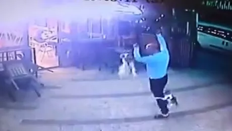Un bărbat din Chișinău a fost atacat de o pisică. Incidentul surprins de camerele de supraveghere - VIDEO VIRAL