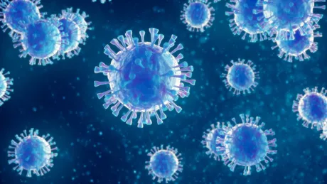 29 de cazuri noi de infectare cu noul coronavirus înregistrate în ultimele 24 de ore la Iași -GRAFICE