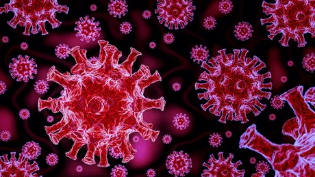 Bilanț coronavirus 26 decembrie 349 cazuri noi de persoane infectate în ultimele 24 de ore. Situația Covid-19 pe județe