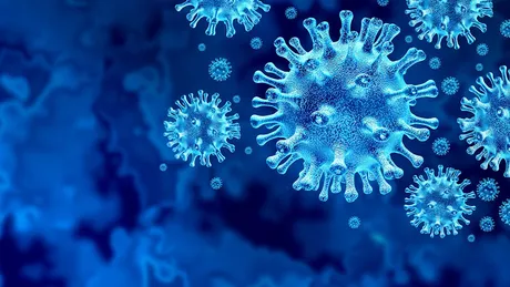 6 persoane au decedat din cauza noului coronavirus în ultimele 24 de ore la Iași. Situația Covid-19 în județ