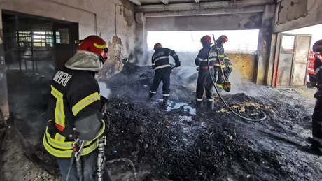 Incendiu la o fabrică de peleți din Iași -FOTO
