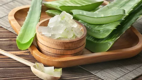 Ce boli tratează Aloe Vera. Iată ce trebuie să știi despre această plantă miraculoasă