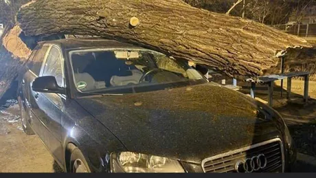 Rafalele de vânt au creat pagube la Iaşi. Un copac s-a rupt şi a căzut peste un autoturism marca Audi - EXCLUSIV FOTO