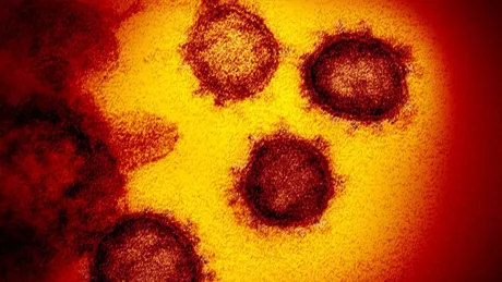 Deltacron noua tulpină de coronavirus descoperită la 25 de oameni din Cipru