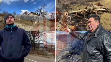 Scandal în comuna Dobrovăț după ce vecinul i-a retezat copacii bătrâni de 70 de ani ca să lărgească drumul Mihăiță Ioviță Polițistul nici nu a vrut să se uite - FOTOVIDEO