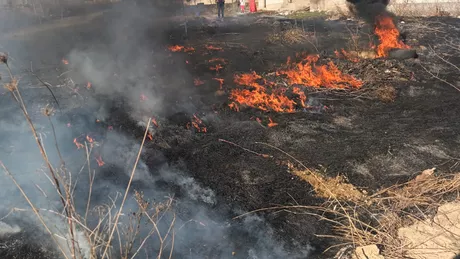 Incendiu de vegetaţie uscată în comuna Ciurea. Flăcările s-ar putea extinde la locuinţe - FOTO UPDATE