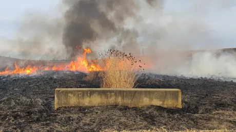 Incendiu de vegetație uscată în zona Lacului Chirița - EXCLUSIV GALERIE FOTO