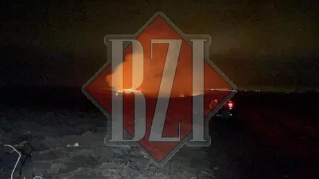 Incendii de vegetație uscată pe suprafețe cuprinse între 200 și 1000 de metri pătrați în mai multe localități din județul Iași - EXCLUSIV FOTO VIDEO