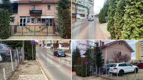 Un proprietar din CUG a confiscat domeniul public și a plantat pomi Mircea Cazacu Au venit de la Primărie și le-a plăcut - FOTO