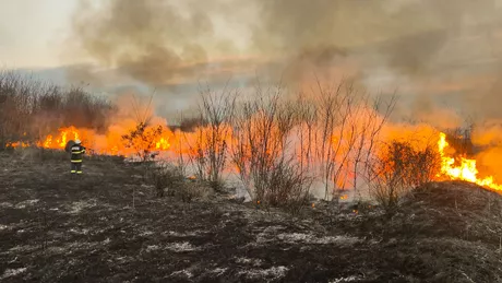 Număr-record de incendii de vegetație în Iași Peste 2.700 de hectare au luat foc de la începutul acestui an- FOTO