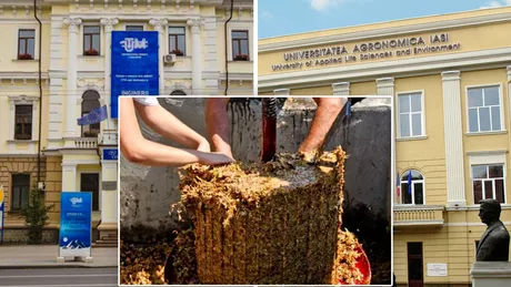 Specialiști din Iași au găsit soluții eficiente pentru valorificarea deșeurilor industriale