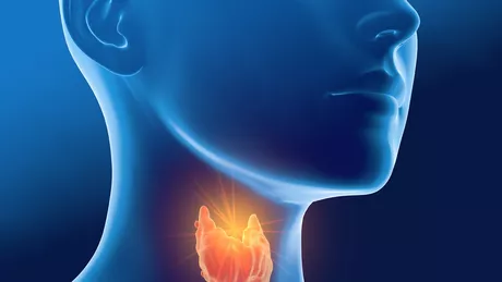 Ce organe afectează glanda tiroidă - Care sunt afecțiunile asociate cu aceasta