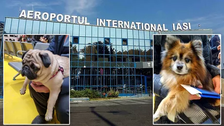 Excepții de călătorie de la Aeroportul Internațional Iași pentru cei care au animale de companie
