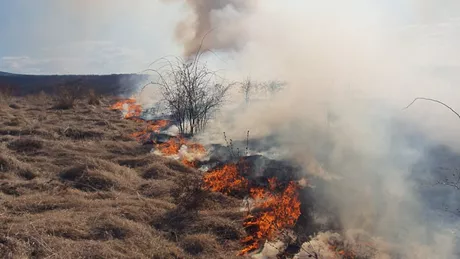 Fiți responsabili Stop incendiilor de vegetație uscată - GALERIE FOTO VIDEO